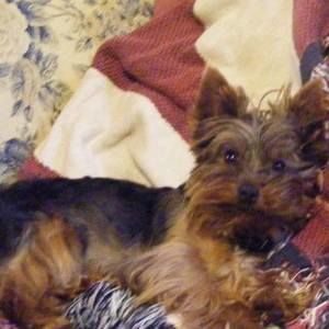 Meet your Posher, Michele